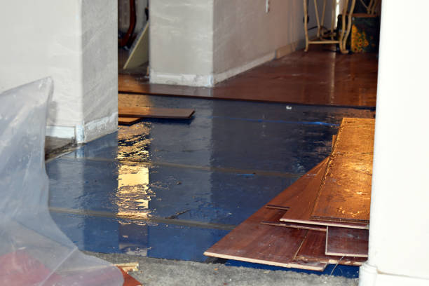 Professional Water Damage Restoration technician working in Farley, IA